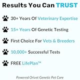 NutriPaw ID Dog DNA Test Kit – Advanced UK Breed Identification & Health Insights | Accurate & Fast Results | Test 350+ Breeds | At-Home Cheek Swab | Health Risks | Puppy to Senior 360 Life Plan - Image 7