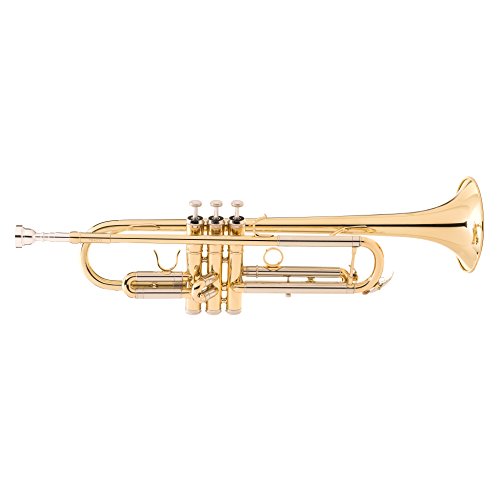 jean paul tr-330 student bb trumpet - brass lacquered