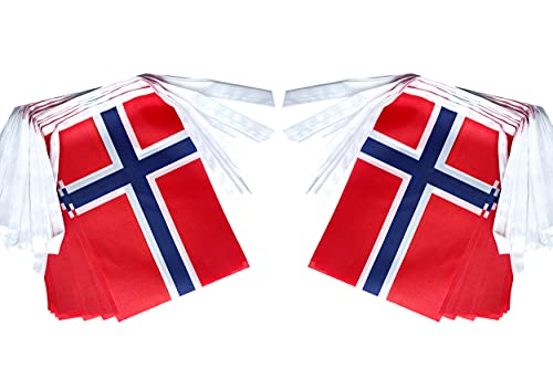 ZXvZYT Norway Norwegian Flag Banner String,Small Mini Norway Pennant flags,For Grand Opening,National Sports Events,Party Festival Decorations(50 Feet 38 Flags) by ZXvZYT - Used condition - Image 3