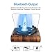 VOSTERIO Bluetooth Record Player, 3 Speed Turntable with Built-in Speakers, Retro LP Vinyl Player with BT Input & Output, FM Radio, USB & SD Card Recording, Aux in, LED Display