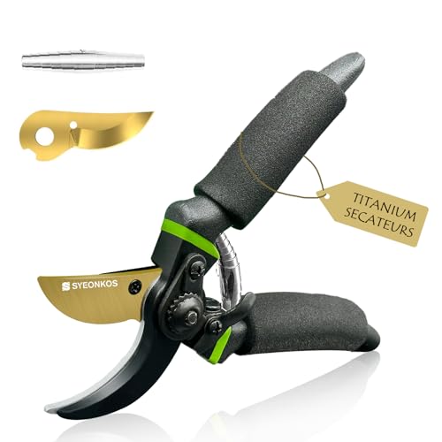 Top Ten Best Secateurs For Gardening Arthritis 2023. Top Ten Best Products