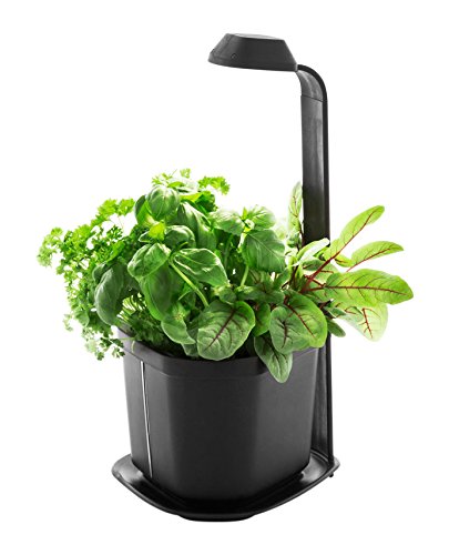 Preisvergleich Produktbild Tregren Genie autonomer LED Blumenkasten / Blumentopf für drinnen
