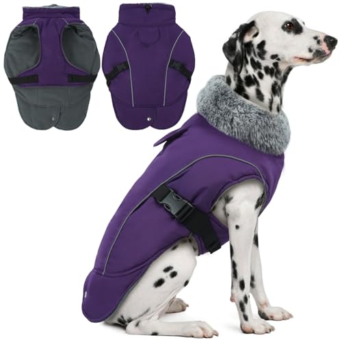 Manteau réfléchissant et coupe-vent pour grand chien avec col réglable protecteur