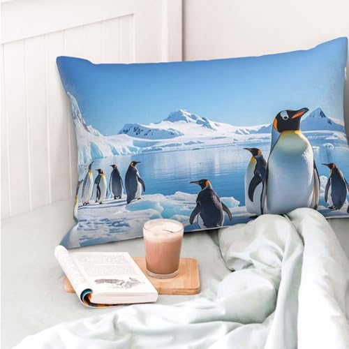 Housse de coussin fermeture éclair invisible pour grand lit doux - 6