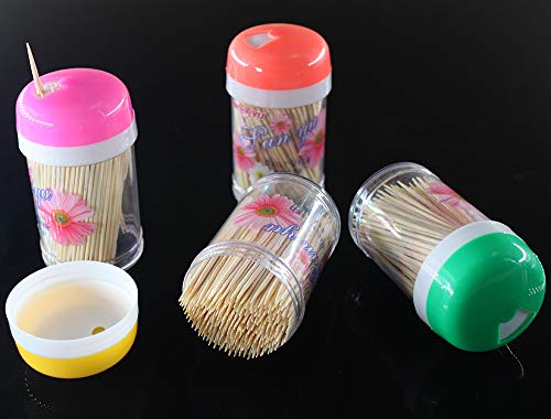 Remhumhai,Bamboo Toothpicks 1000PCS(4 Bottle of 250PCS),Thin Tips on Two Ends,Length 65MM,Diameter 1.6MM