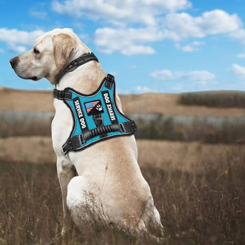 Weste mit Jagdgeschirr für Hunde, Hundegeschirr ohne Ziehen, taktische Weste, langlebig und verstellbar, mit gepolstertem Komfort, reflektierende Gurte für die Jagd, Zwischen