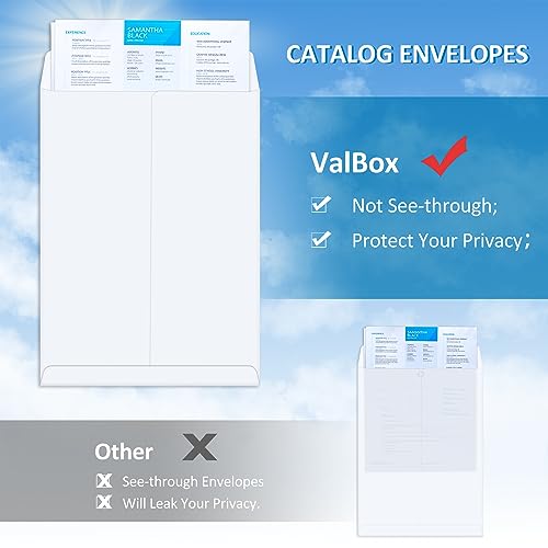 ValBox 6x9 Self Seal Security Catalog Envelopes 250