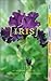 Produktbild Iris