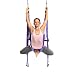 YOGABODY Yoga Trapeze - Yoga Swing/Sling/Inversion Tool (Purple)