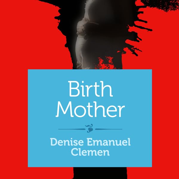 Cover art for Birth Mother