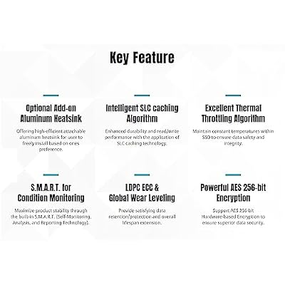 KLEVV CRAS C910 500GB M.2 2280 NVMe PCIe Gen4x4 Laptop & Desktop Internal SSD Heatsink Included, up to 5000MB/s (K500GM2SP0-C91)