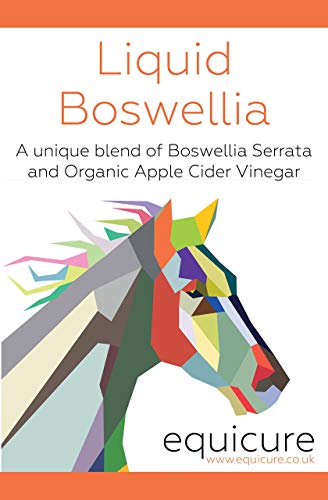 Equicure Liquid Boswellia For Horse/Pony (1 Litre) - Image 4
