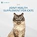 PRN Pharmacal Duralactin Feline Fatty Acid Soft Chews - Joint Health Supplement for Cats & Kittens to Help Manage Soreness - Omega-3 Fatty Acid Supplement - Chicken Liver Flavor - 60 Chews