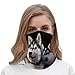 VTCTOASY Husky Dog Neck Gaiter Personalized Soft Windproof Face Covers Cozy Winter Neck Warmer Gator Scarfs Multipurpose Fashion Breathable Bandana Face Mask Scarf for Adult
