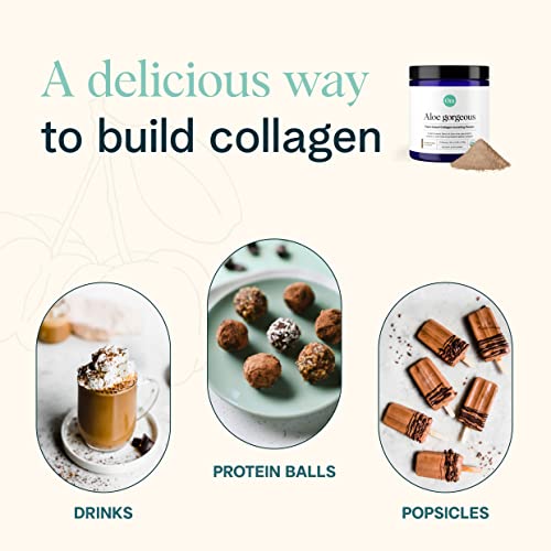 Ora Organic Vegan Collagen-Boosting Powder For Women And Men - Hair, Skin, & Nails Support - Bamboo Silica, Plant-Based Protein, Organic Vitamin C, Aloe Vera - Chocolate Flavor, 20 Servings #TOP4