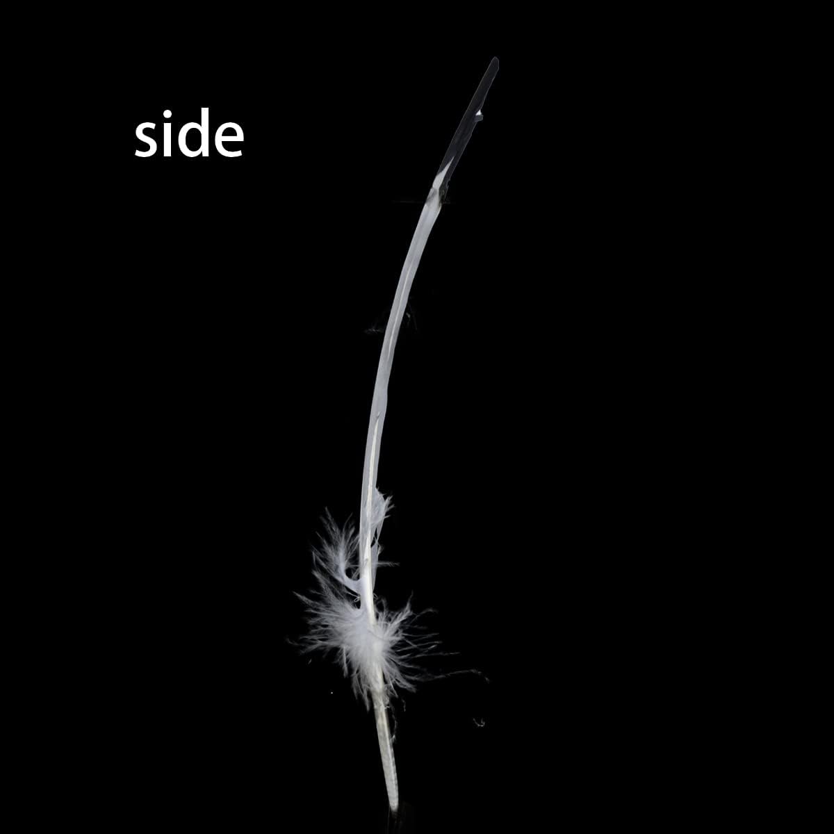 Ws&Wt 20pcs 10-12inch Turkey Feather for Craft Round Quill Feathers Right Left Wings Art Decoration Party Costume-White w/Black Tips