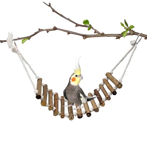 Escada de madeira para répteis, rodízio flexível – fácil montagem decorativa resistente lagarto esca