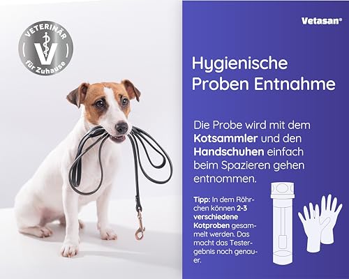 Vetasan 2X Giardien Schnelltest für Hund & Katze I Professioneller Giardientest zuverlässig & schnell I 98,3% Genauigkeit I Giardien Test, Giardia Test