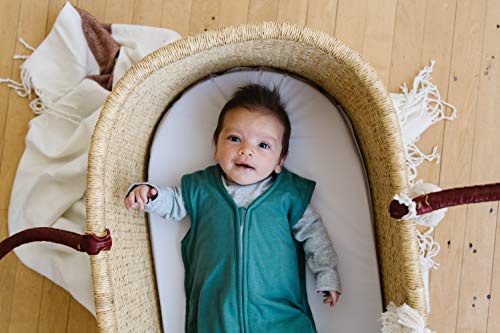 Image of Copper Pearl Premium 3-Layer Knit Sleep Bag, Journey, 0-6 Month