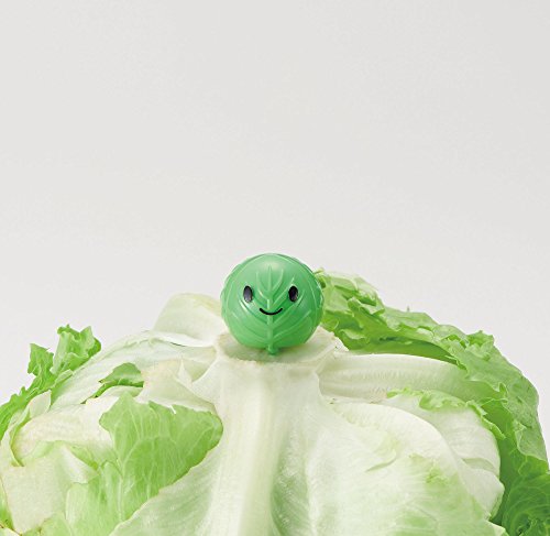 キャベツ レタスを長持ちさせるべジシャキちゃん ゆったリッチに暮らす方法 キャベツ レタスを長持ちさせるべジシャキちゃん ゆったリッチに暮らす方法
