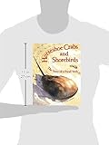 Horseshoe Crabs and Shorebirds: The Story of a Foodweb