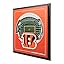Cincinnati Bengals