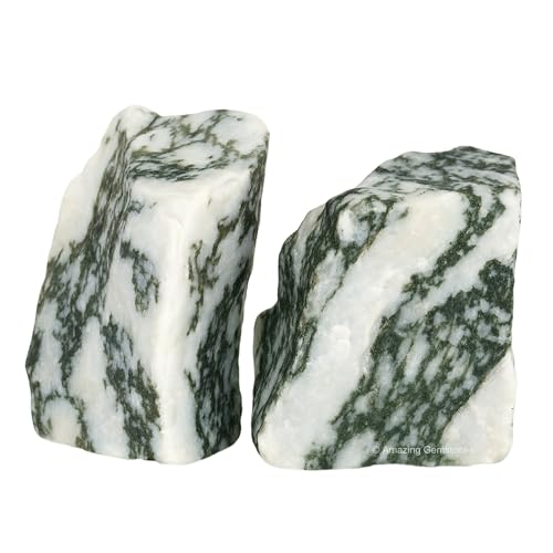 Tree Agate Crystals and Healing Stones, 2 Piece Raw