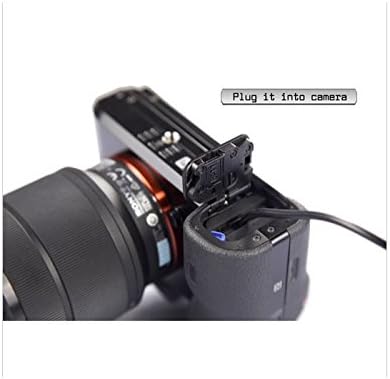 dummy battery for sony a6100