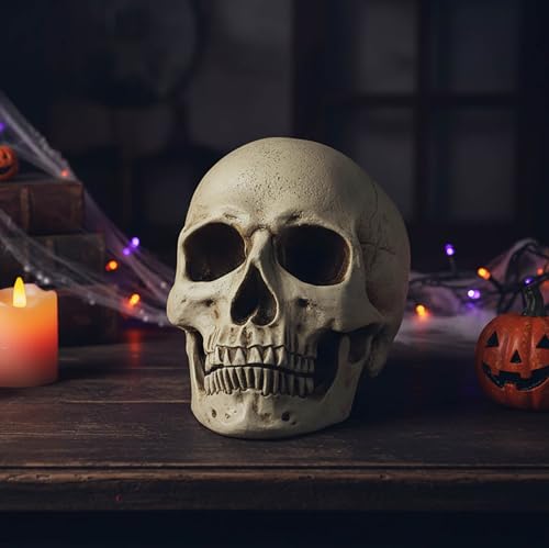 Estatua de Calavera Humana de Resina Realista 7.09 in miniatura 4