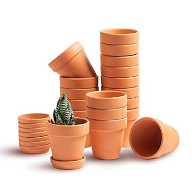 AMAZON - HERDUK 3 inch Terracotta Clay Pots Pack of 18, Small Plant Pots with Drainage Holes and Saucers, Mini Nursery Plant Pots for Succulents, Cactus, Indoor,Outdoor