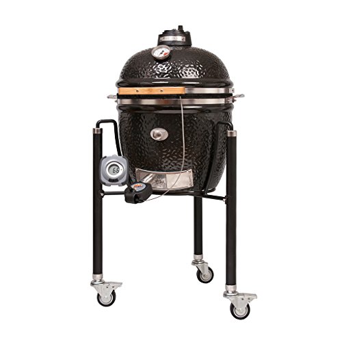 Preisvergleich Produktbild Monolith Thermometer PartyQ Junior