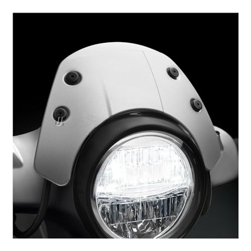 Déflecteur de vent moto pour réduire la fatigue sur GTS 300 Super - 6