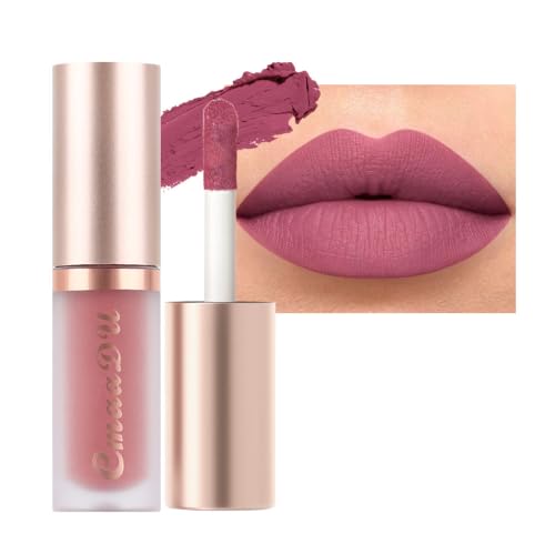 evpct 1Pcs Mauve Matte Liquid Lipstick Lip Gloss Glossy Set for Black Women 24 Hour Pink Silky Velvet Lipstick labiales matte larga duracion mate 24 horas originales 01#