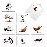 Cow Yoga Note Cards with Envelopes (10 Pack) - Humorous Animal 'Bovine Nirvana' All Occasion Blank Greeting Card - Boxed, Bulk Set of Blank Notecard Assortment - Cattle Zen (4