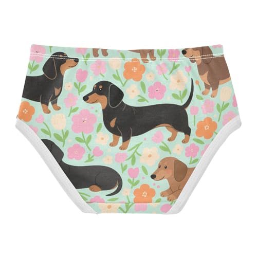 Organic Cotton Panties Breathable Triangle Panties Organic Underwear for Toddler Girls in Sizes 2T-8Y2