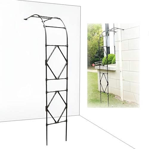 Treillis en métal robuste pour plantes grimpantes, design demi-arc, disponible en 60 cm à 180 cm (180 x 240 cm), décoration extérieure élégante