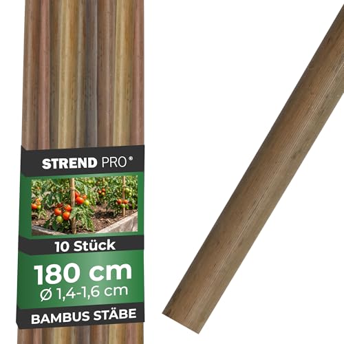 STREND PRO Bambusstäbe 180 cm - 10er Set | Ø 14-16 mm Natürliche Holzstäbe | Pflanzstäbe & Rankhilfe für Tomaten & Kletterpflanzen | Pflanzenstütze aus Naturbambus | Stab | Bohnenstange Tomatenstäbe