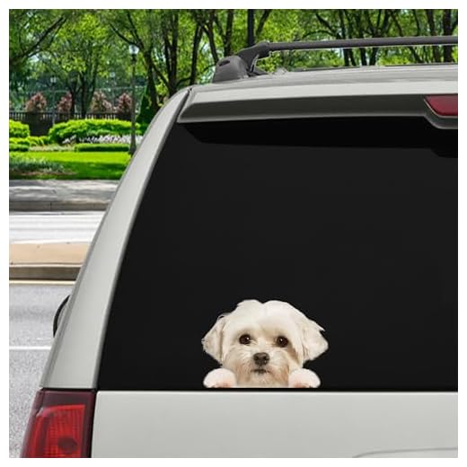 3D Coton De Tulear Dog Vinyl Sticker, Coton De Tulear Can You See Me Now Vinyl Decals, Stickers Pet Lovers Gift, Accessories Waterproof for Vehicles SUV Wall Laptop