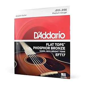 D'Addario Flat Tops Phosphor Bronze EFT17 Saiten