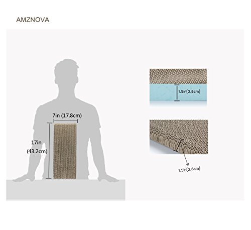 https://m.media-amazon.com/images/I/41QRtipp7ML._SL500_.jpg