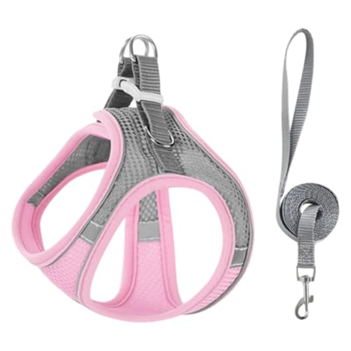DULFAX Pettorina per Cani con Guinzaglio, Pettorina Gatto Antifuga, XS (36-44 cm torace, 30-32 cm collo), Rosa, Nylon, Tinta Unita