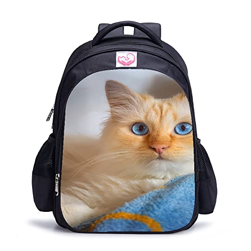Sac à dos chat pour l'école et les sorties de loisirs en famille