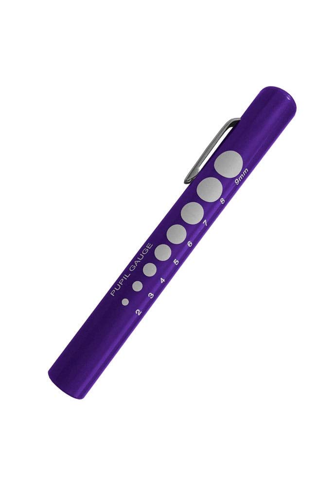 Disposable Pocket Penlights, 6 Pack, Purple