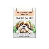Plaque Shih Tzu je suis chez moi panneau chien mignon attention monte la garde pancarte aluminium