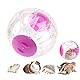 CiCixixi Hamsterball, Ø 18,5 cm, Hamster Run Ball, Laufkugel für Hamster & Mäuse, Kunststoff, Nagerspielzeug zum Laufen, Transparent