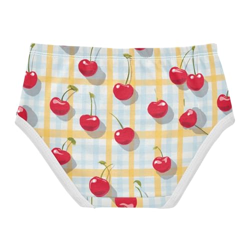Wusikd Cherries Gingham Girls' Underwear Cotton Girls Briefs Soft Toddler Underwear 2T2