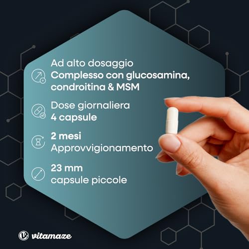 Glucosamina Condroitina MSM 2.250 mg + Vitamina C, 240 Capsule, Glucosamine Complex de Dose Elevata, Integratore Alimentare Naturale senza Additivi non Necessari, Qualitá Tedesca - Vitamaze®… - 2