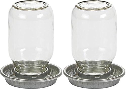 Little Giant Mason Jar Baby Chick Waterer