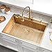 SOMRXO 30×22 Drop In Kitchen Sink with Faucet Combo-Stainless Steel Gold Drop In Sink with Cup Washer, 9 Inch Deep Single Bowl Kitchen Sinks and Faucets Combo Set,Top Mount Design for Modern Kitchens
