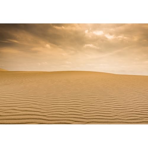 dnldliq 10x8ft Desert Backdrop for Photography Western Nature Scenery Sahara Desert Sand Photography Background Outdoor Desert Adventure Party Decoration Banner Adult Portrait Wallpaper